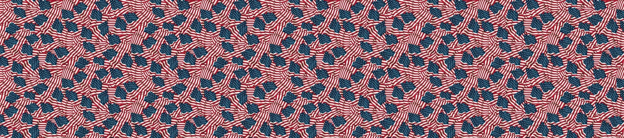 108" WB - Stars and Stripes 13 Flags Multi