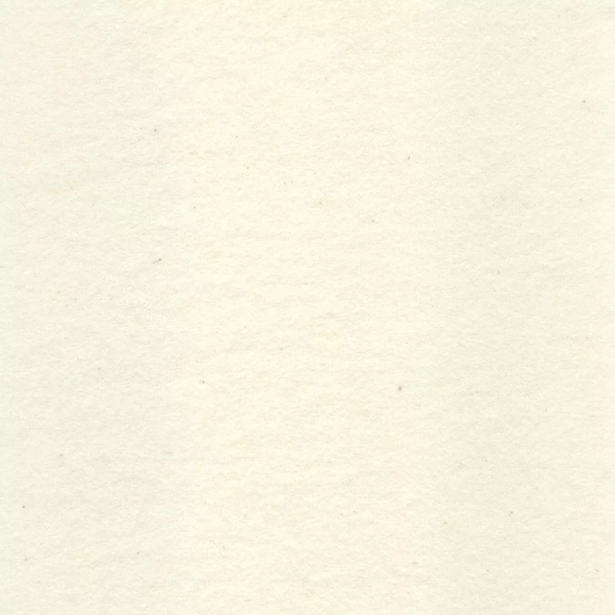 20-yd-bolt-ivory-cotton-flannel-fabric 20 YD Bolt-Ivory Cotton Flannel Fabric