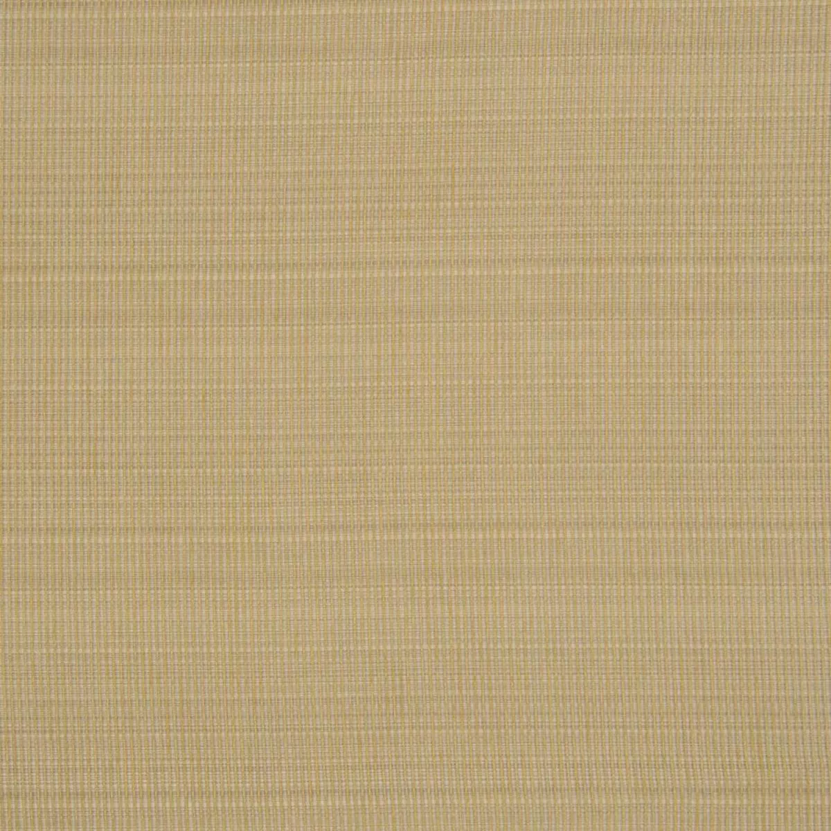 2123CB SEAGRASS RM Coco Fabric