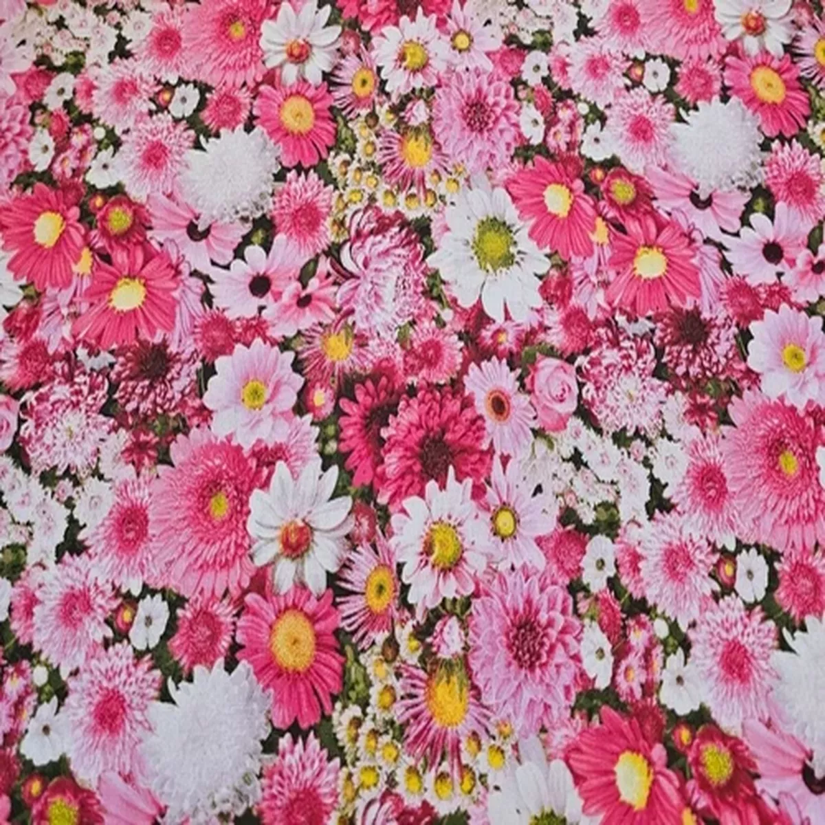 3-1-yards-cotton-jersey-fabric 3.1 Yards Of Cotton Jersey Fabric
