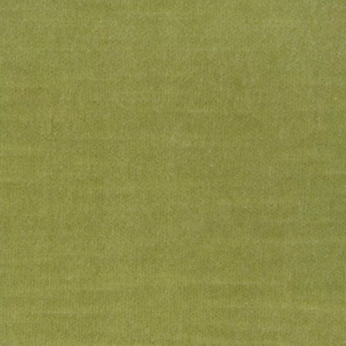 37313-23-fabric 37313 23 Fabric
