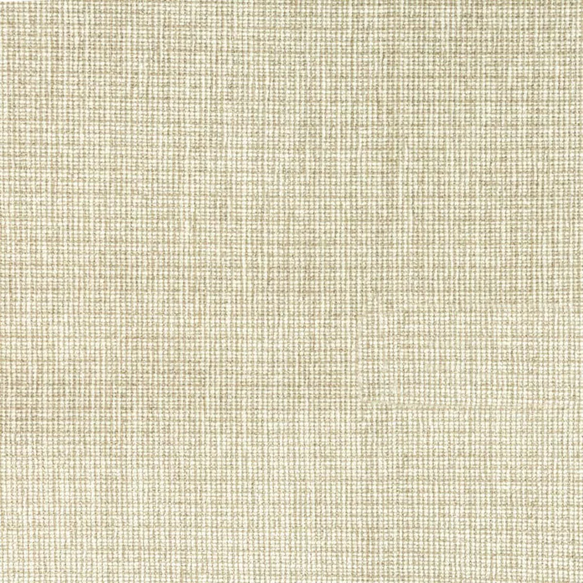 7804-11 BEGINNINGS SANDDUNE