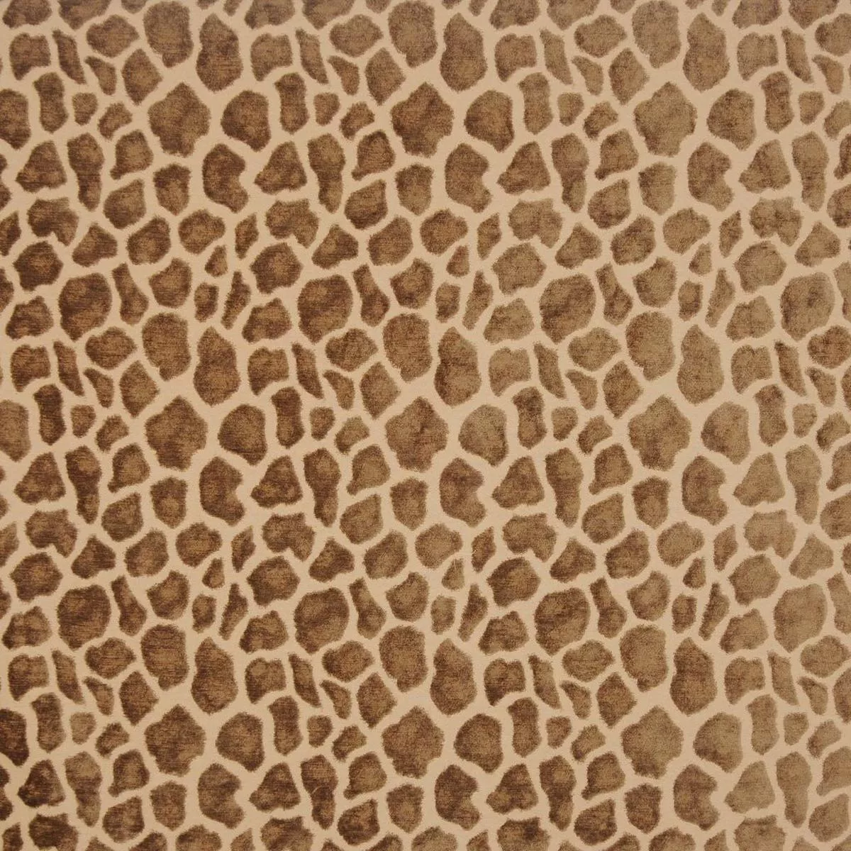 a02831-rm-coco-fabric A02831 RM Coco Fabric