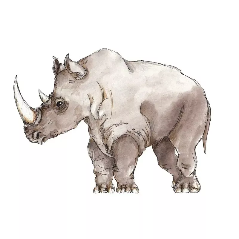 African Rhinoceros Fabric Panel – Gray