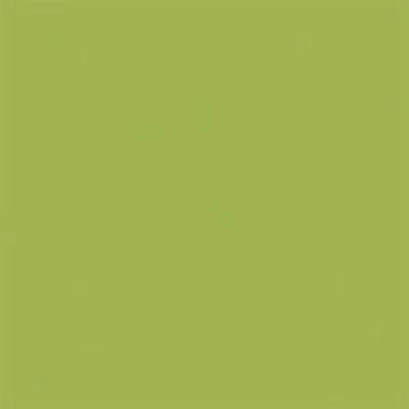 American Made Brand Solid Cotton – Light Olive