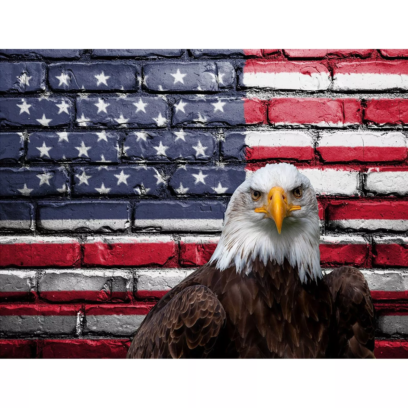 american-pride-panelfocus-on-fabric-misc-022 American Pride PanelFocus on Fabric MISC-022