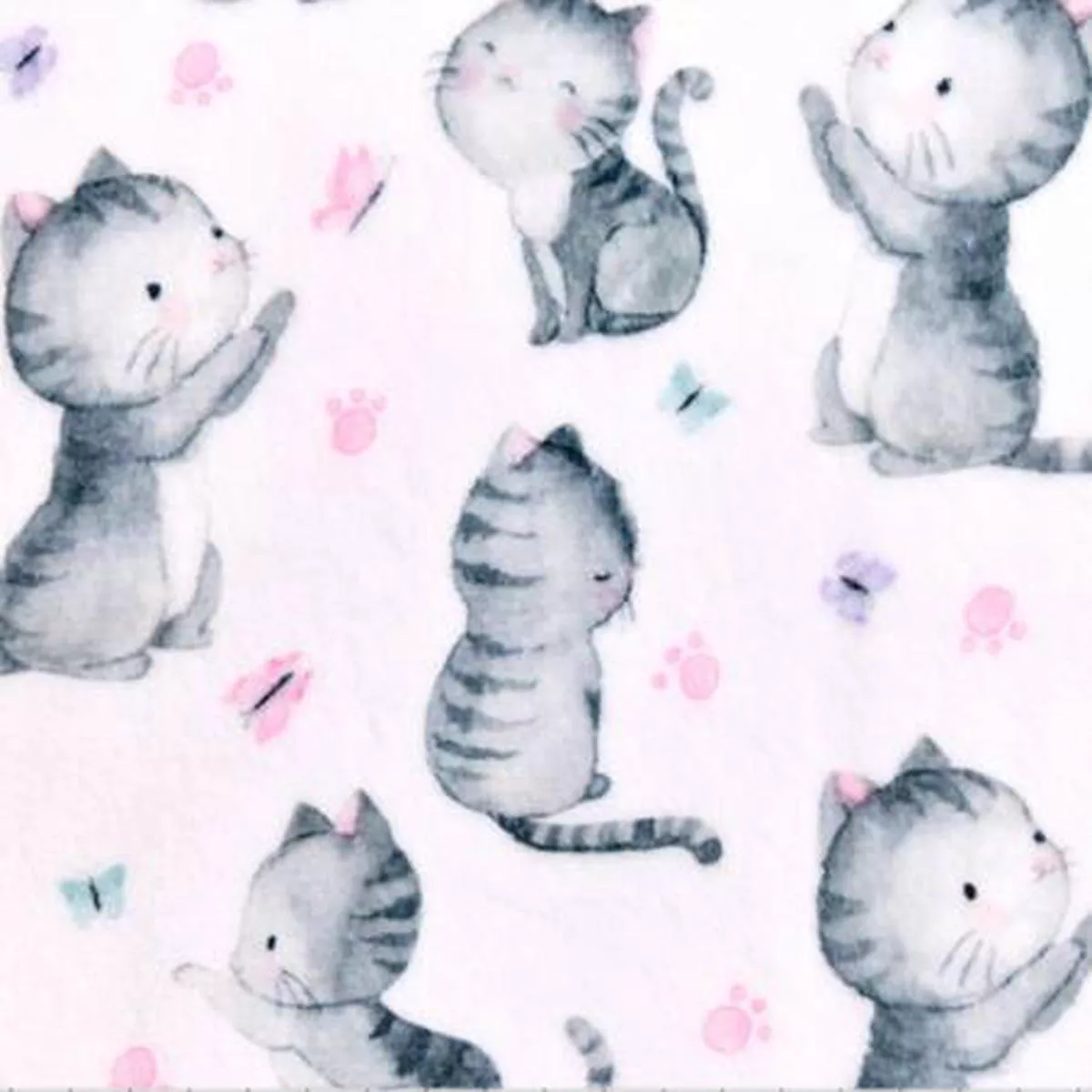 are-you-kitten-me-cloud-cuddle-shannon-fabrics-cuddle-minky Are You Kitten Me Cloud Cuddle – Shannon Fabrics Cuddle Minky