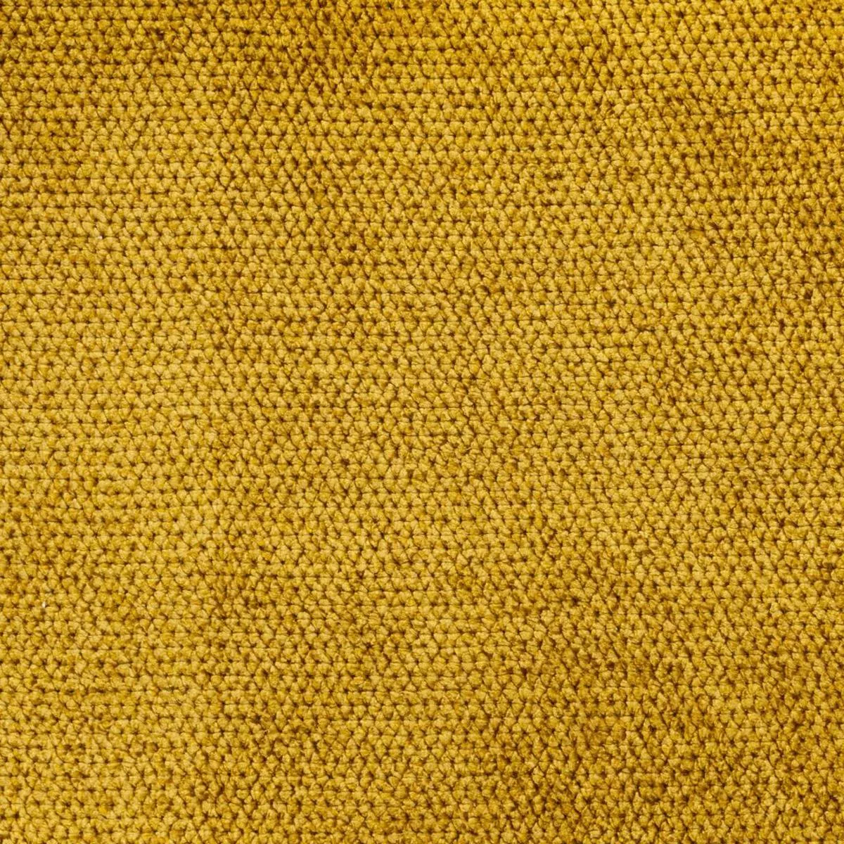Ascot Forsythia RM Coco Fabric