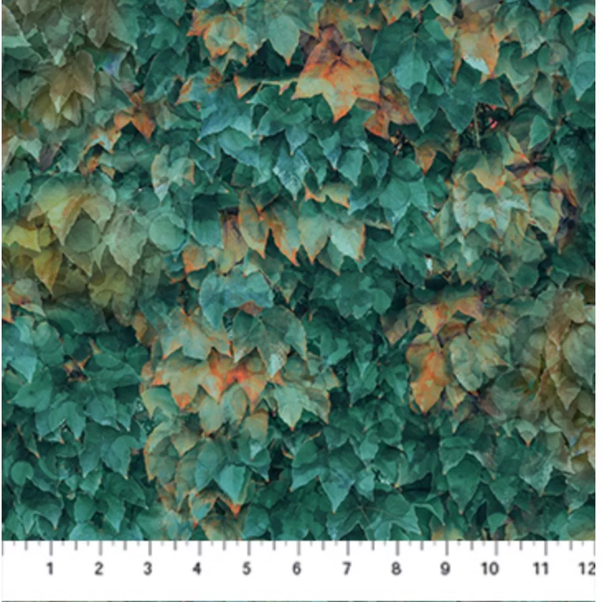 autumn-breeze-teal Autumn Breeze-Teal