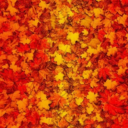 Autumn Glory.Ombre Leaves.D-82-O