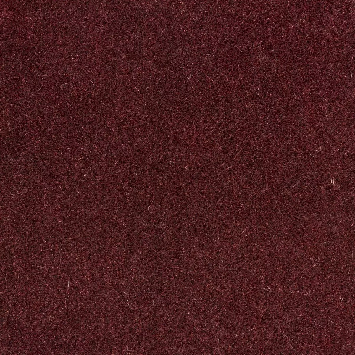 Bachelor Mohair Damson Fabric