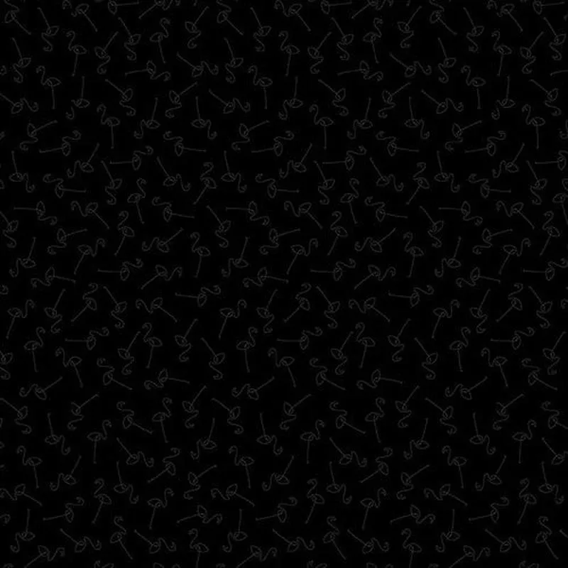 back-in-black-1616-99-black Back in Black 1616-99 Black