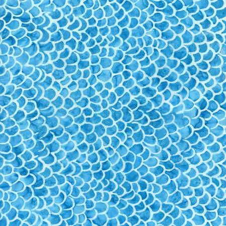 Bahamas Fish Scales