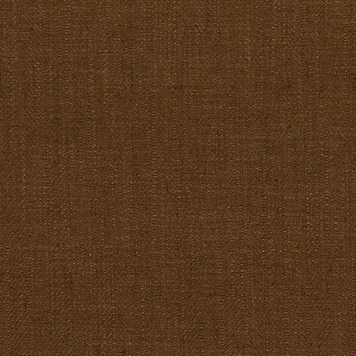 barrister-truffle Barrister Truffle