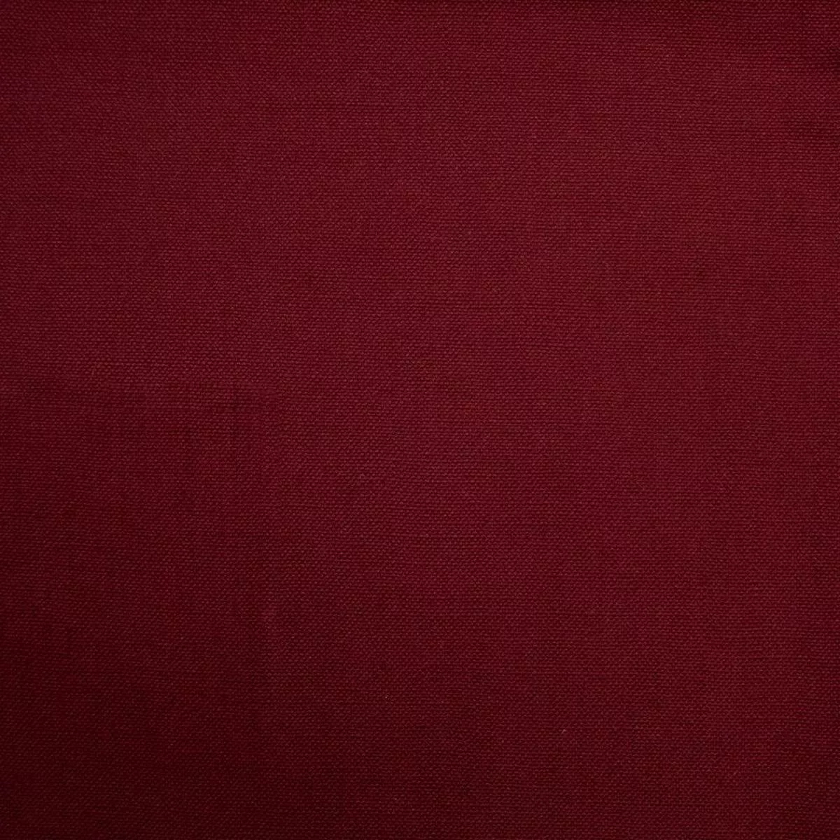 Barry – Beet