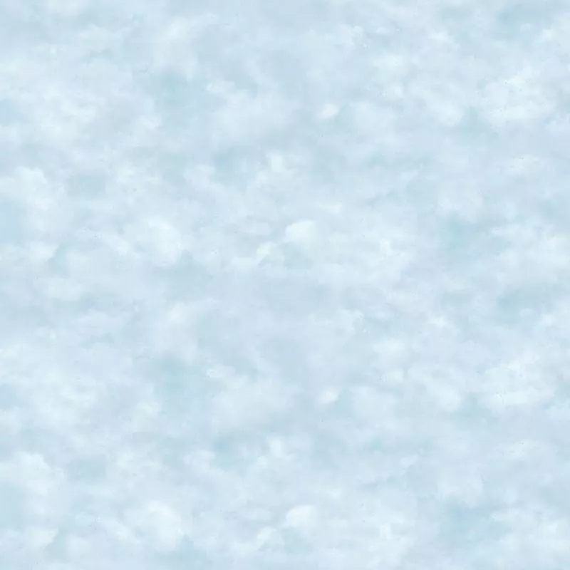 Bear Necessities 28631-42 Blue