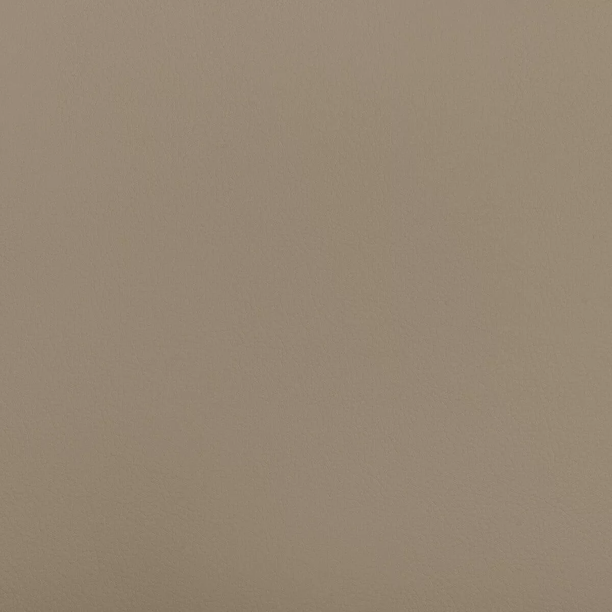 beech-beech-121-fabric Beech Beech-121 Fabric