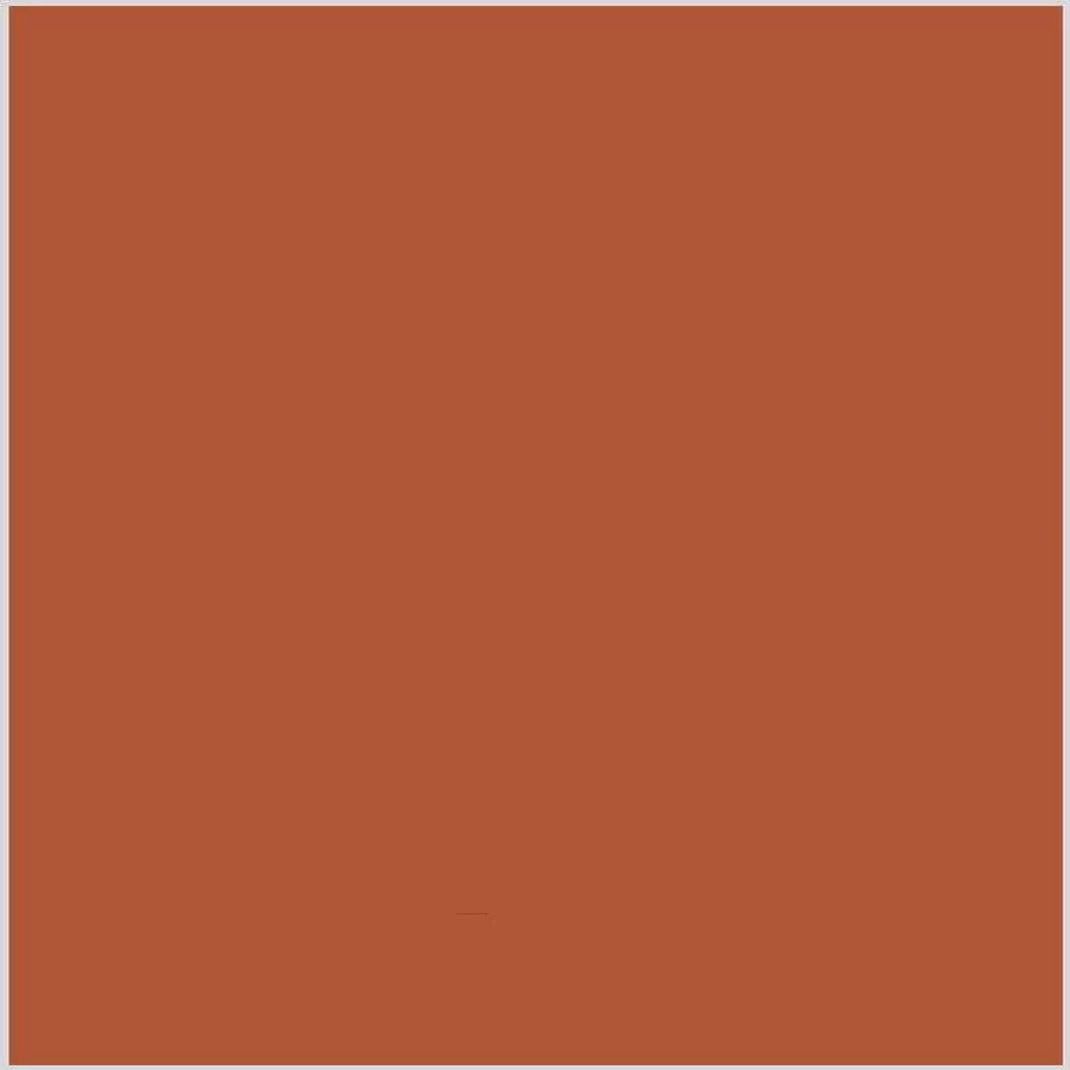 Bella Solids By Moda Spice