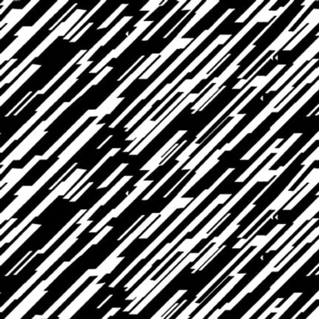 Bias Stripe Black+White by Blank Quilting