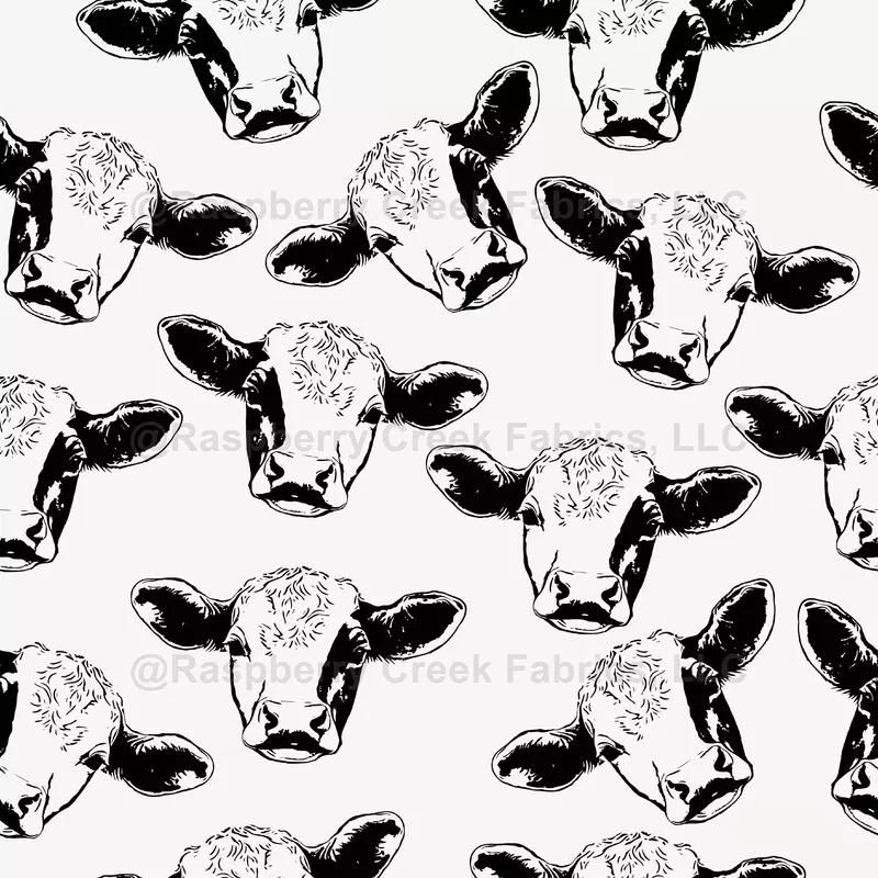 Black Cow Heads Scatter