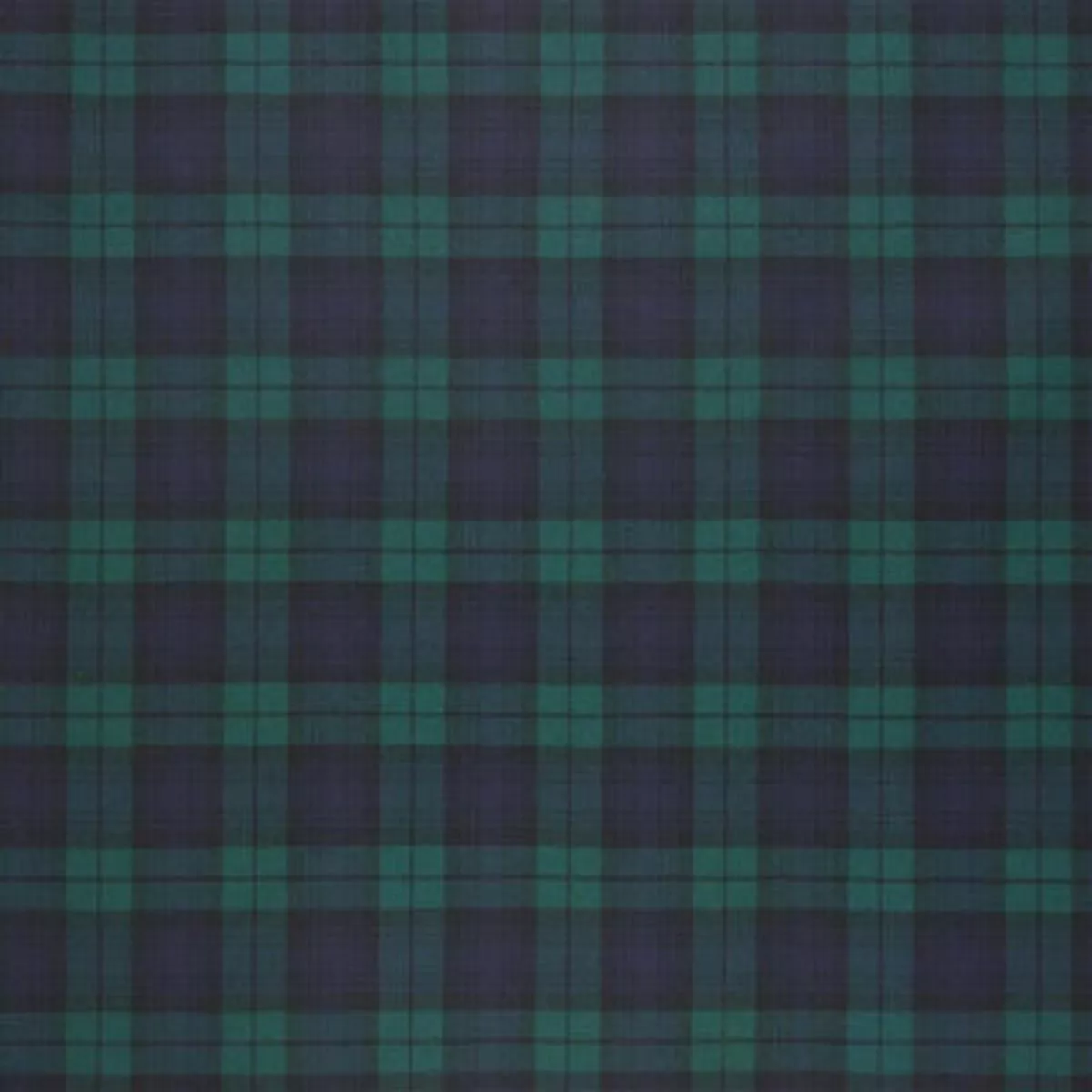 Blackwatch Flannel – Ralph Lauren – Frl5057-01 Fabric