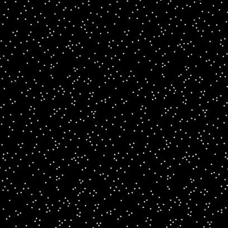 blossom-black Blossom – Black