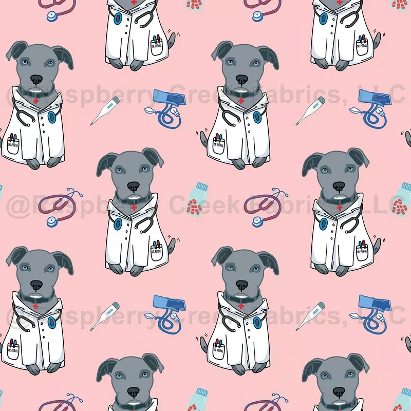 Blue Nose Dr Pitbull Dog Pink Background