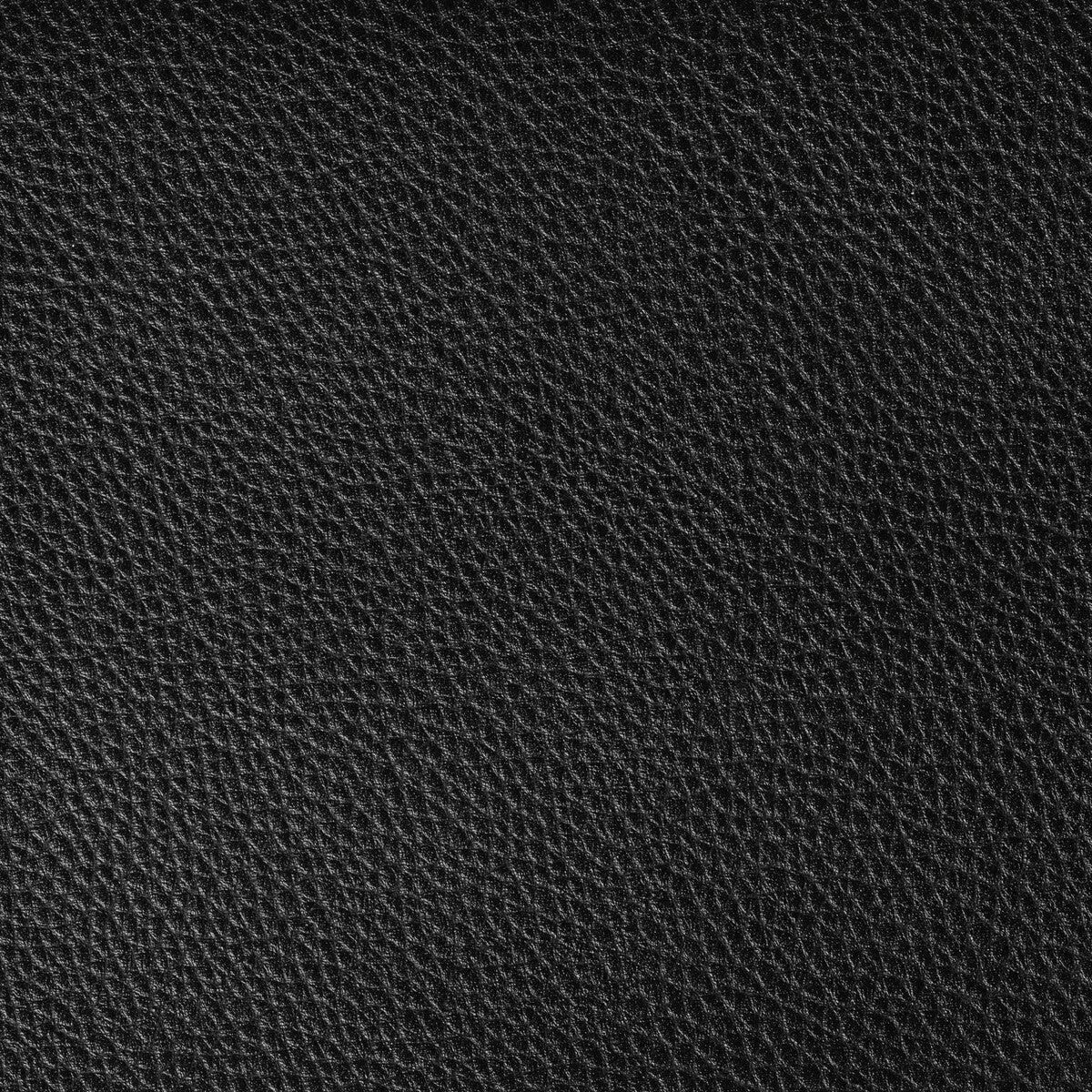 boone-stallion-fabric Boone Stallion Fabric