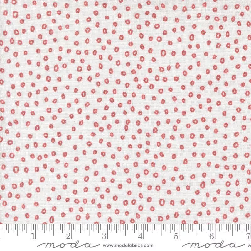 Botany Seeds – Paper
