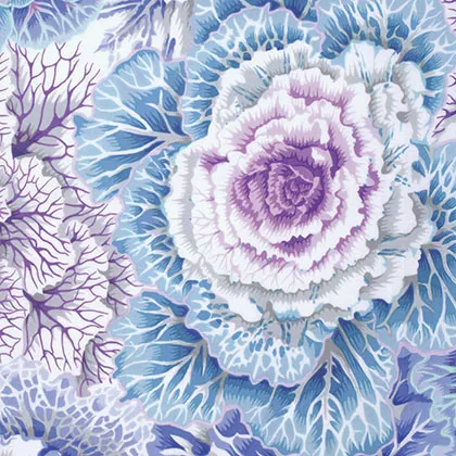 brassica-skyfreespirit-pj051-sky Brassica - SkyFreeSpirit PJ051.SKY