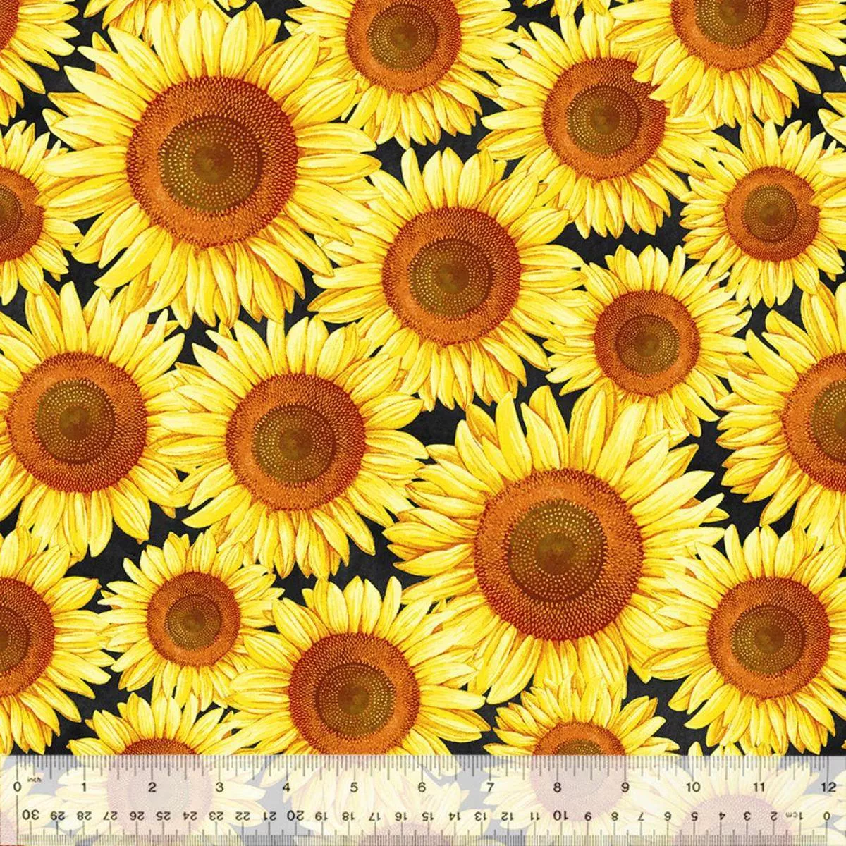 brighter-than-sun-by-robin-roderick Brighter Than The Sun by Robin Roderick