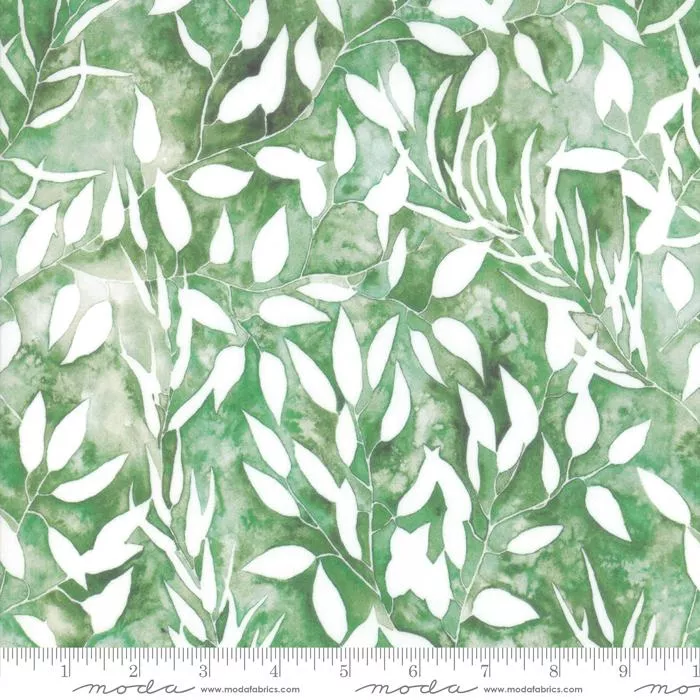 Brightly Blooming Leaf
