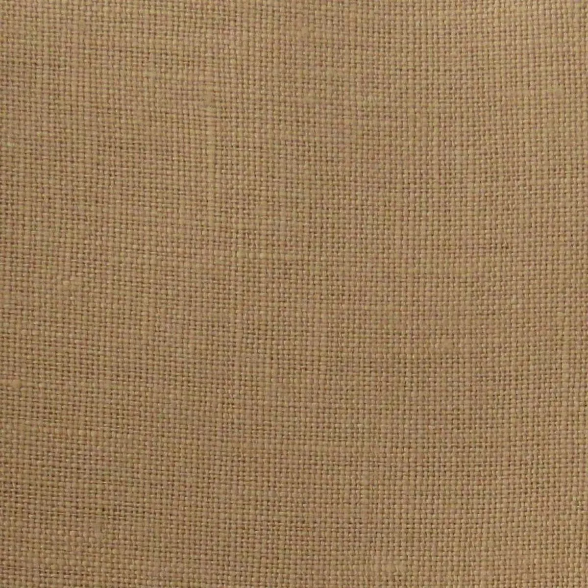 Bruges -Hazelnut RM Coco Fabric