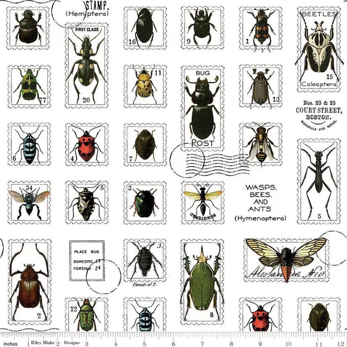 bugs-post-multi-by-j-wecker-frisch Bugs Post Multi by J Wecker Frisch