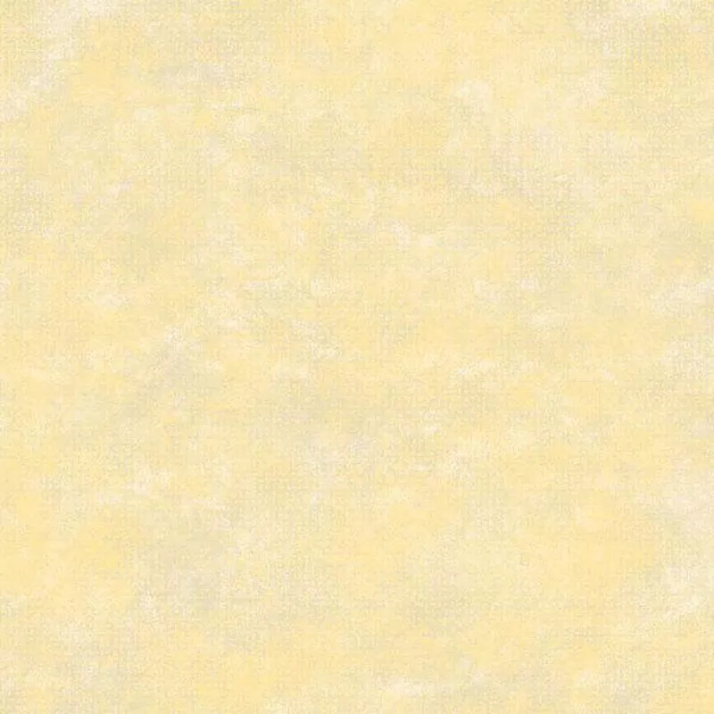 Burnish Yellow# 599