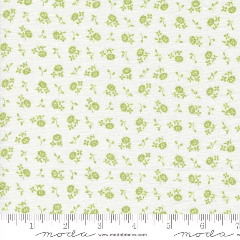 Cali & Co Cloud Pistachio 29195-17