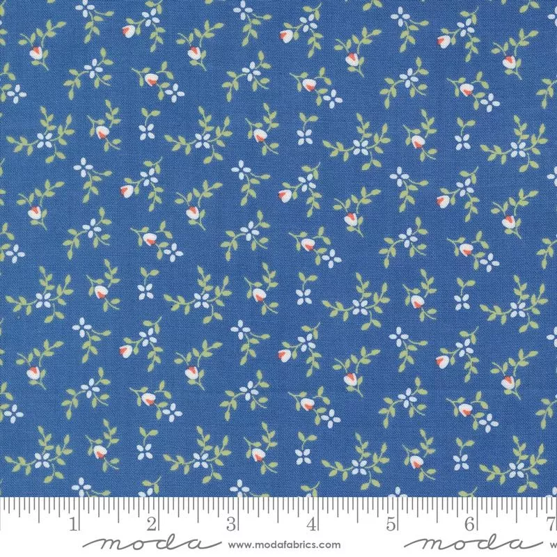 Cali & Co Cobalt 29192-41