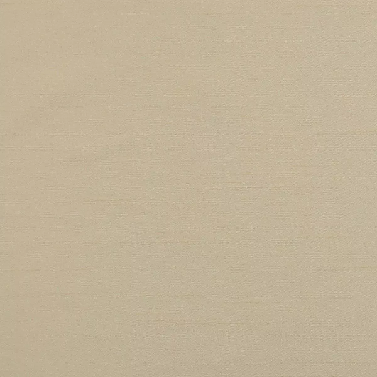 camelot-parchment Camelot-Parchment