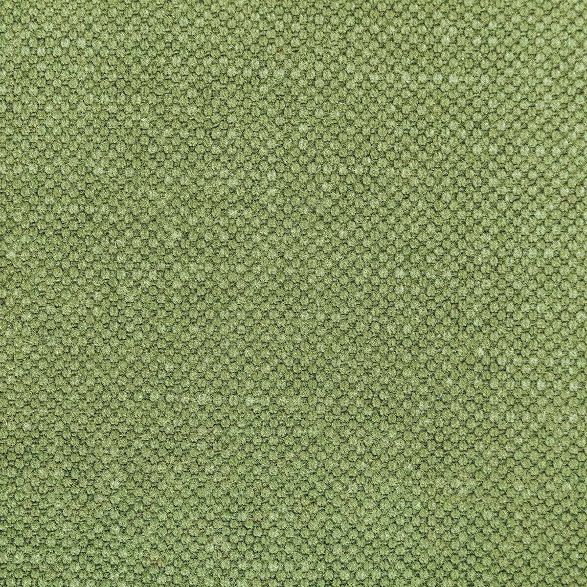 Carson Frog Fabric