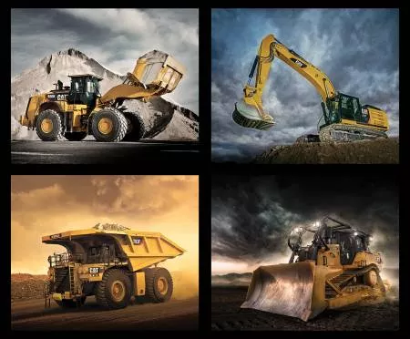 CAT 36in Pillow Panel