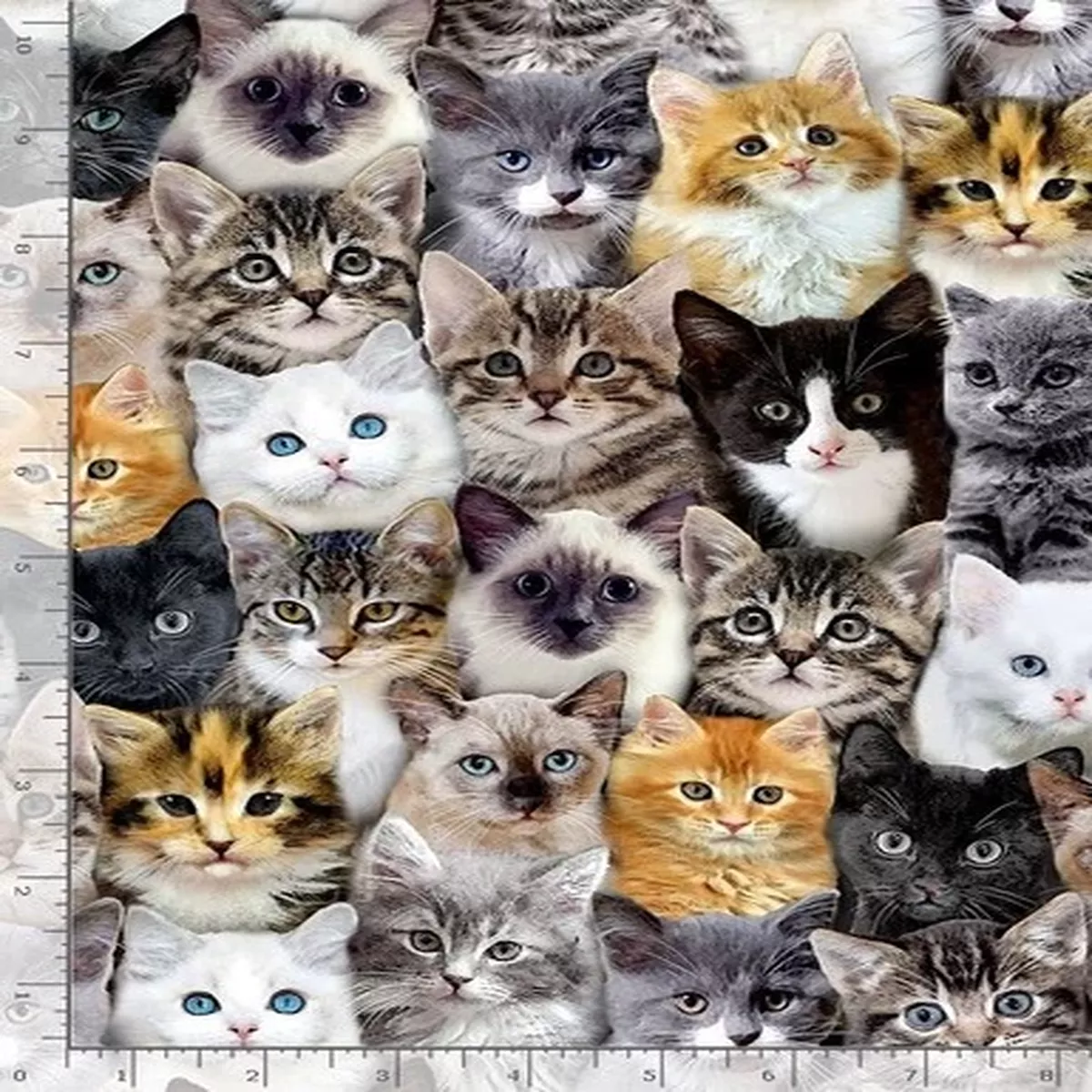 Cat Cats Kitten Kittens Packed 8417 Timeless Durable Cotton Fabric
