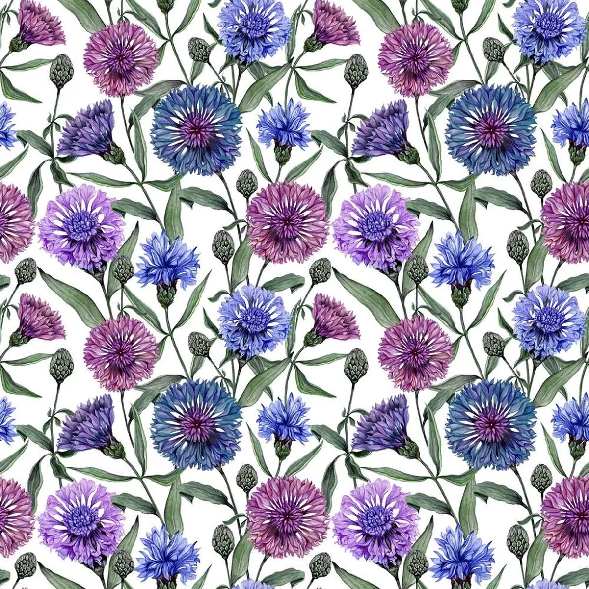 centaurea-flowers-with-leaves-fabric-white Centaurea Flowers with Leaves Fabric – White