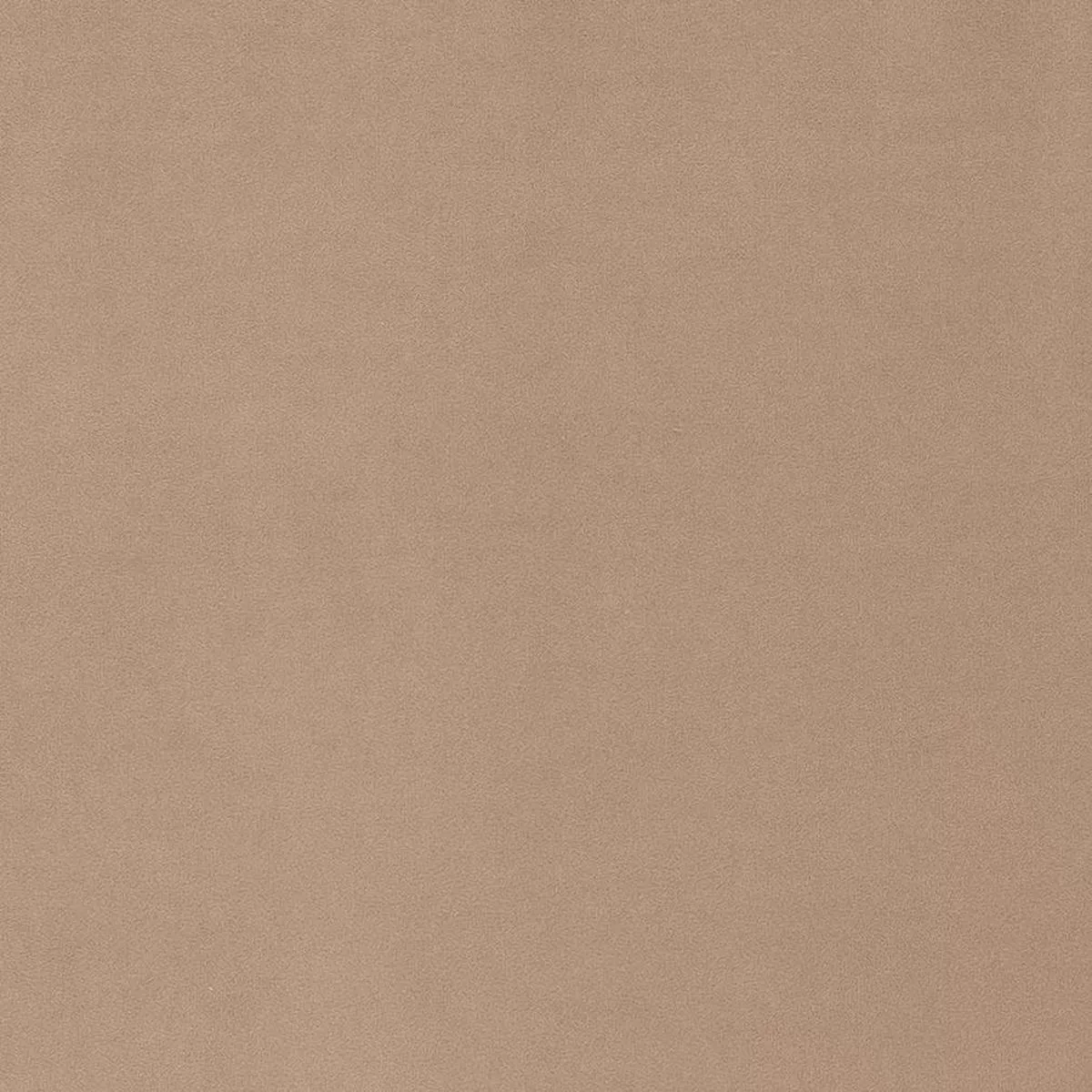 charlotte-d1481-buff-fabric-by-yard-buff Charlotte – D1481 – Buff – Fabric by the Yard – Buff