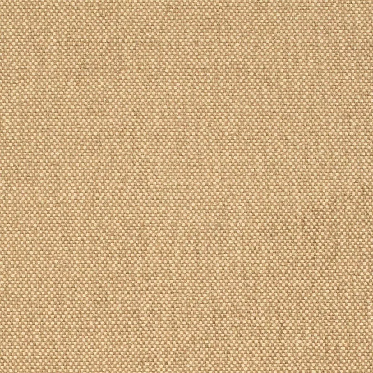 charlotte-d4464-latte-fabric-by-yard-latte Charlotte – D4464 – Latte – Fabric by the Yard – Latte
