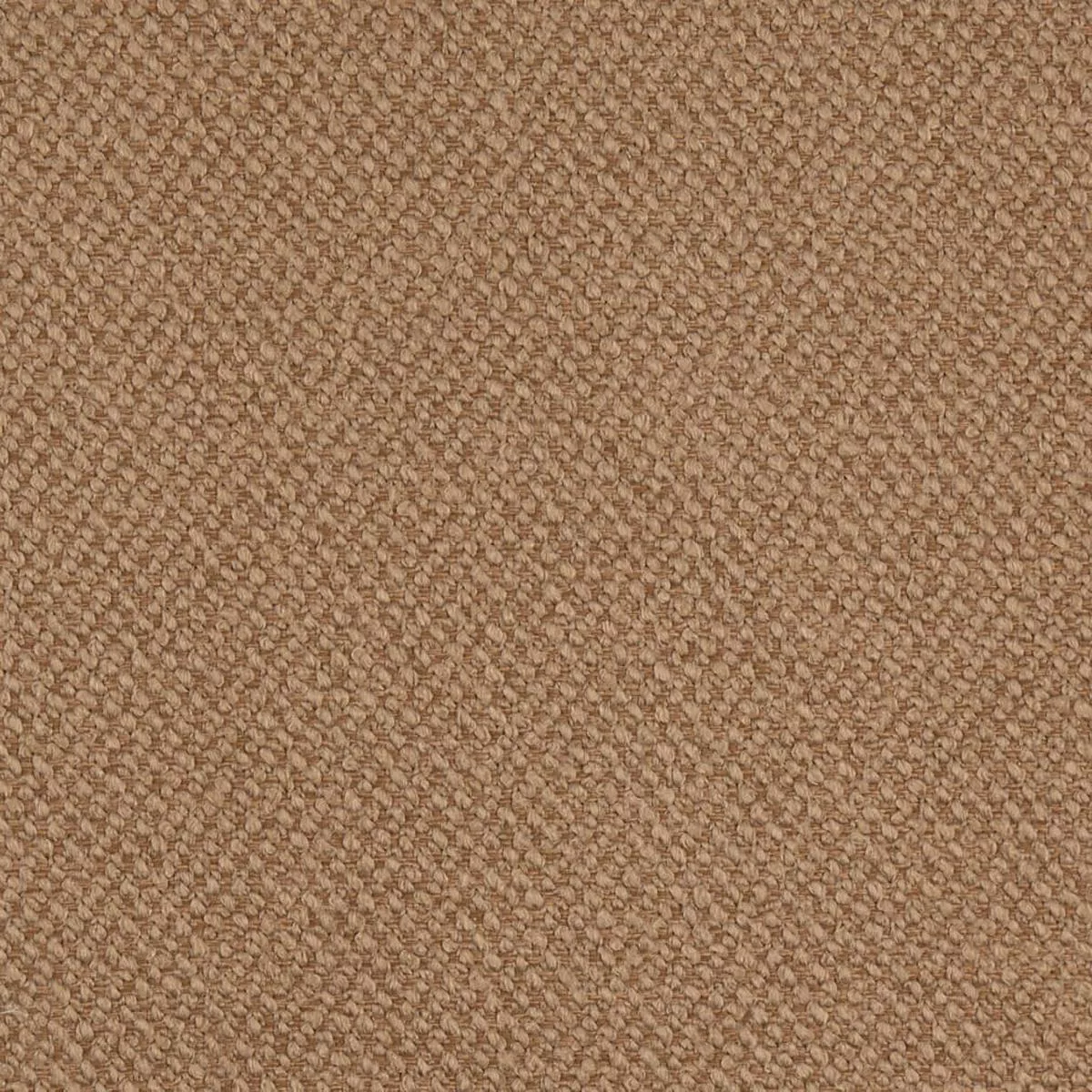 charlotte-d4926-camel-fabric-by-yard-camel Charlotte – D4926 – Camel – Fabric by the Yard – Camel