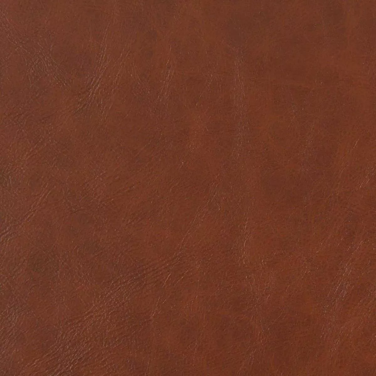 charlotte-v635-timber-fabric-by-yard-timber Charlotte – V635 – Timber – Fabric by the Yard – Timber