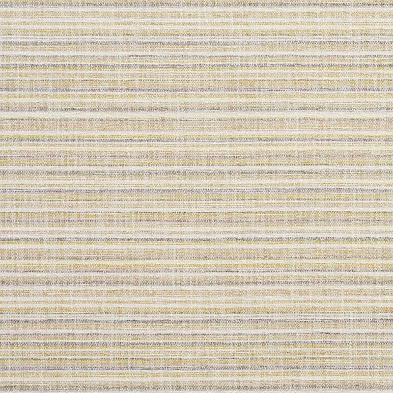 CharlotteFabric 10460-01