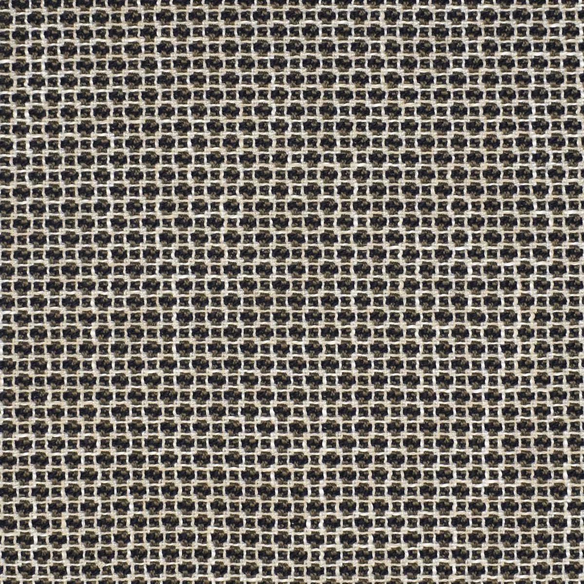 Checkered Past F2215 Mocha
