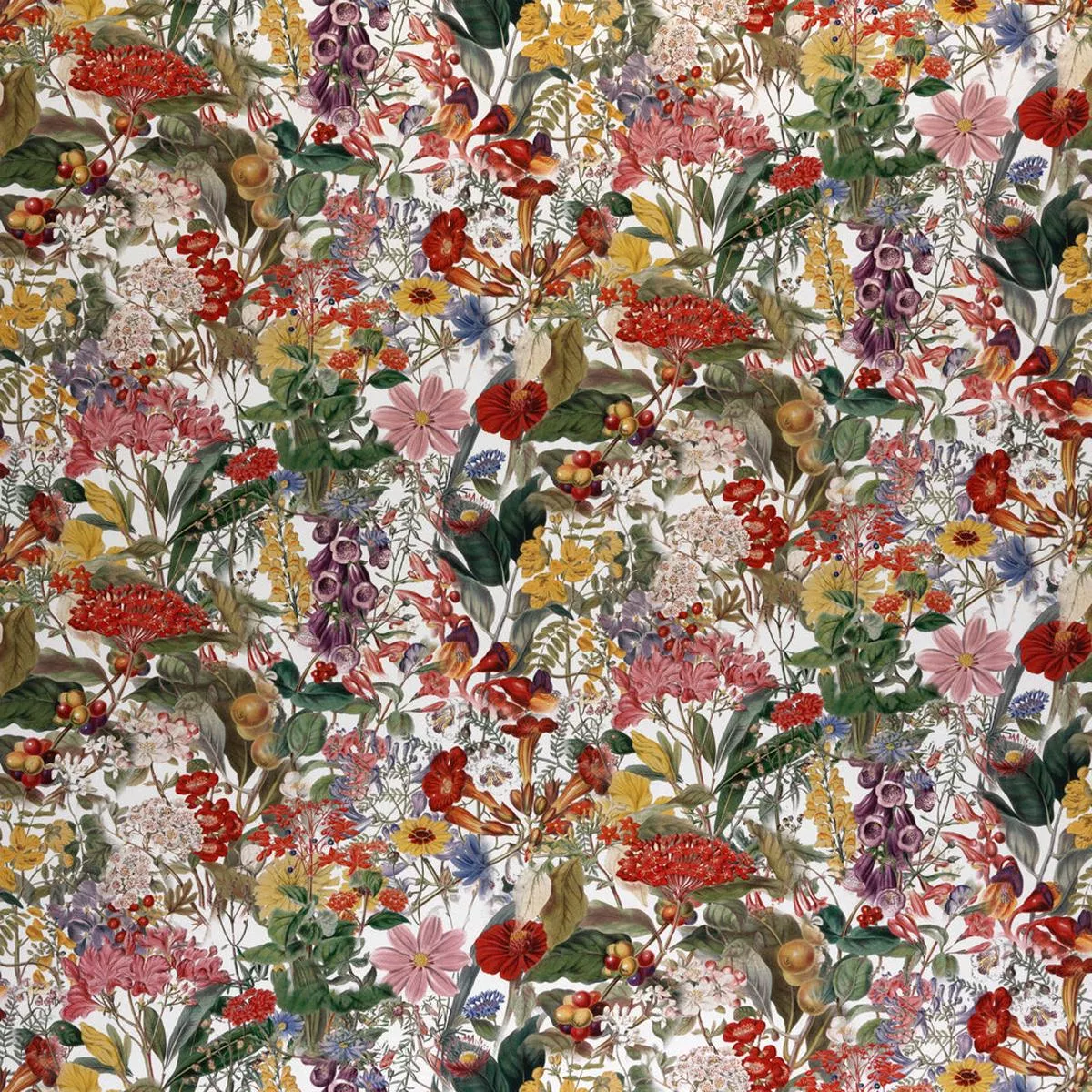 chelsea-profusion-order-sample Chelsea – Profusion | Order A Sample