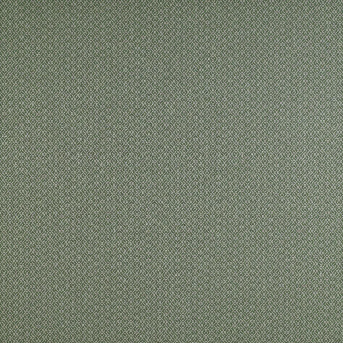 chueca-verde-fabric Chueca Verde Fabric